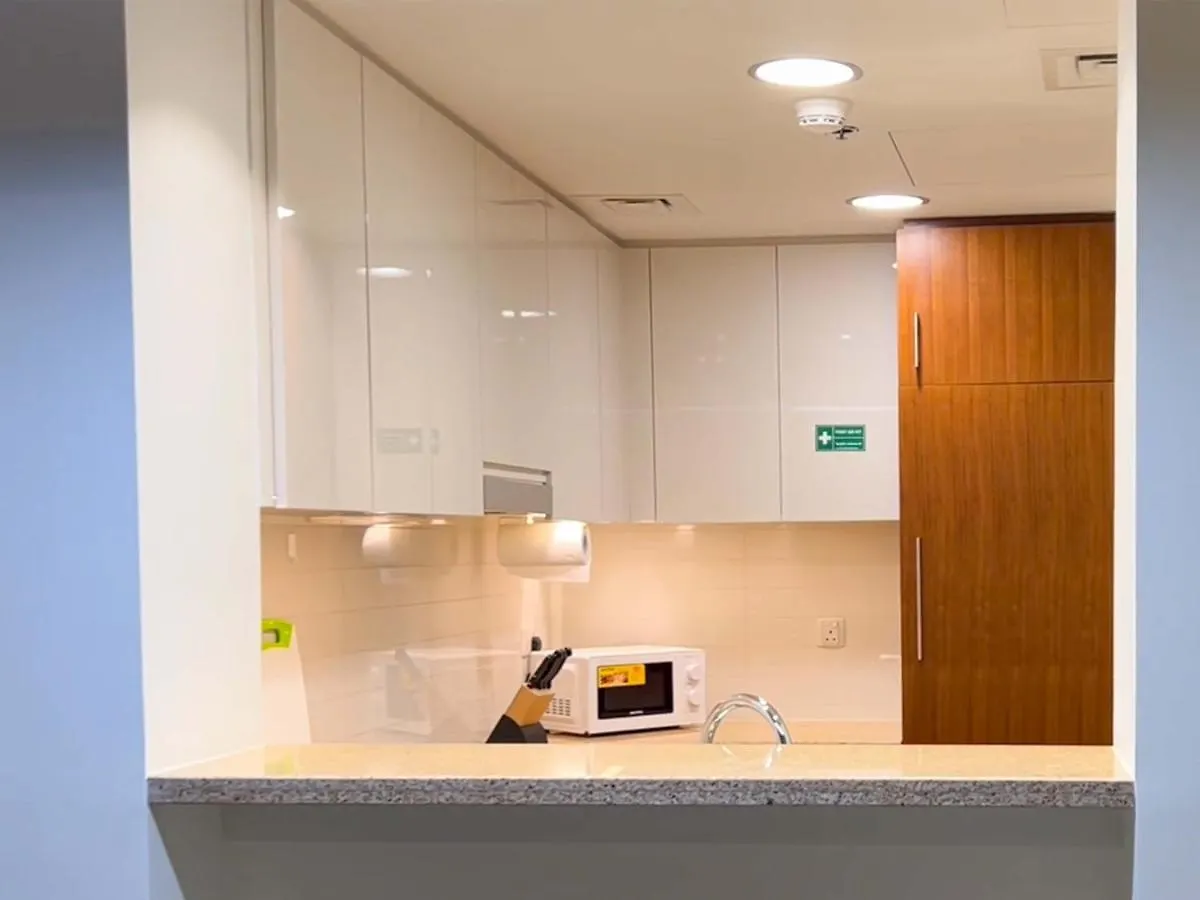 Cosmos Living Downtown Dubai Apartment 0*,